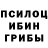 Псилоцибиновые грибы Psilocybine cubensis Fariza Alisher
