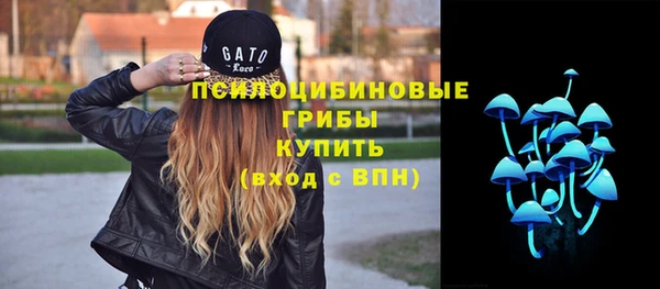 Альфа ПВП Абаза